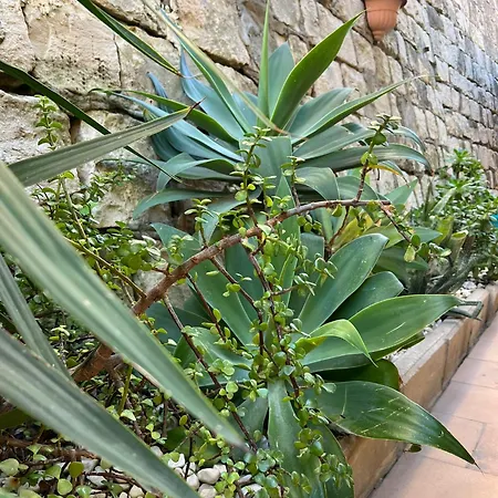 Alojamento de Acomodação e Pequeno-almoço In Riva Al Mare Gela