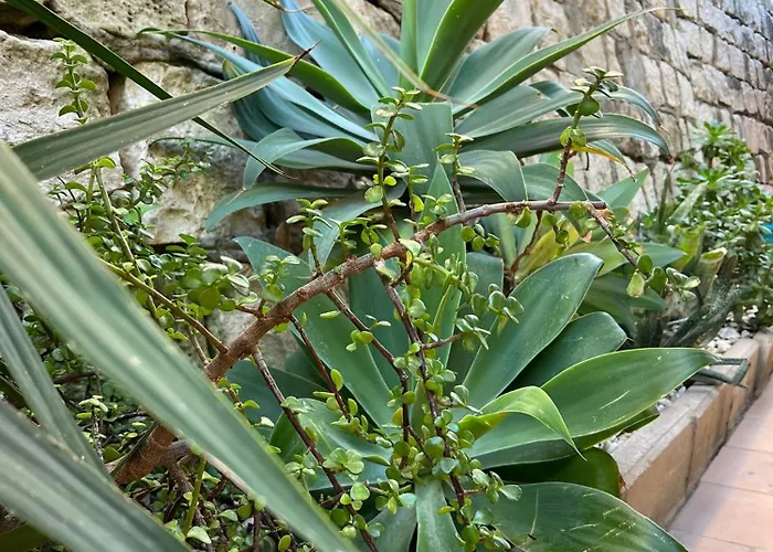 فندق مبيت وإفطار In Riva Al Mare جيلا
